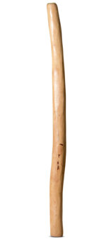Medium Size Natural Finish Didgeridoo (TW998)